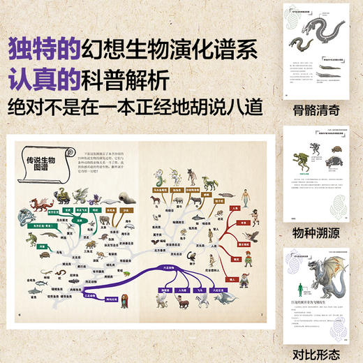 幻想物种起源 传说生物演化图鉴 川崎悟司日本科普动物进化解剖奥秘动漫科普绘本漫画书籍古生物研究跟动物交换身体 商品图2