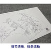 【大彩图】张建军工笔画白描底稿扇面小品《啄木鸟》石榴临摹勾线花鸟线稿A346 商品缩略图4