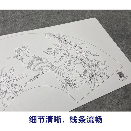 【大彩图】张建军工笔画白描底稿扇面小品《啄木鸟》石榴临摹勾线花鸟线稿A346 商品图4