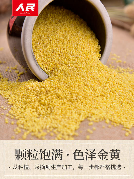 人民食品 桃花糯小米880g 商品图5