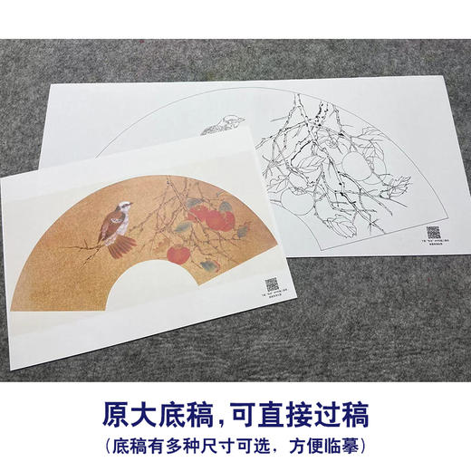 【大彩图】张建军工笔画白描底稿柿子扇面小品临摹勾线花鸟线稿A348 商品图1