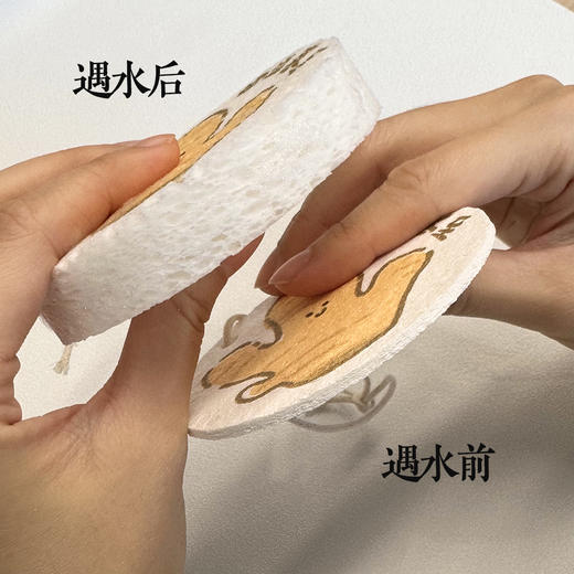 【好运姜至】压缩海绵洗碗巾清洁吸水卡通木浆百洁布 商品图5