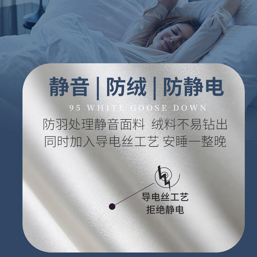 【黛富妮】匈牙利分区进口鹅绒被 商品图3