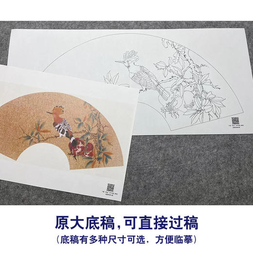 【大彩图】张建军工笔画白描底稿扇面小品《啄木鸟》石榴临摹勾线花鸟线稿A346 商品图1