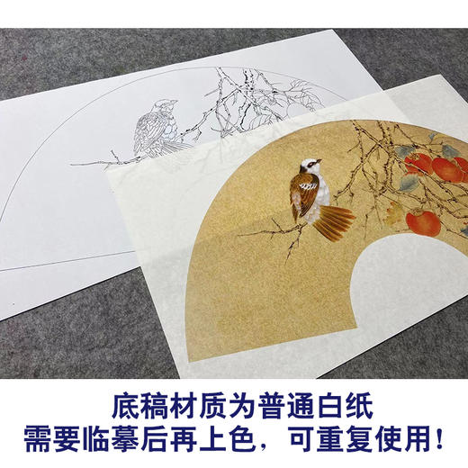 【大彩图】张建军工笔画白描底稿柿子扇面小品临摹勾线花鸟线稿A348 商品图3
