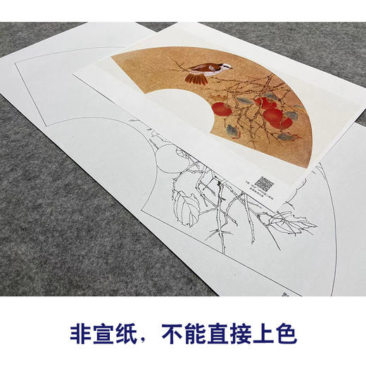 【大彩图】张建军工笔画白描底稿柿子扇面小品临摹勾线花鸟线稿A348 商品图2