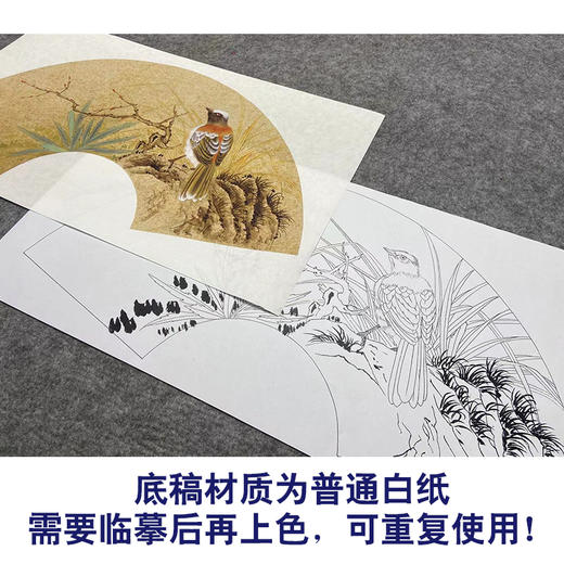 【大彩图】张建军工笔画白描底稿扇面小品临摹勾线花鸟线稿A350 商品图3