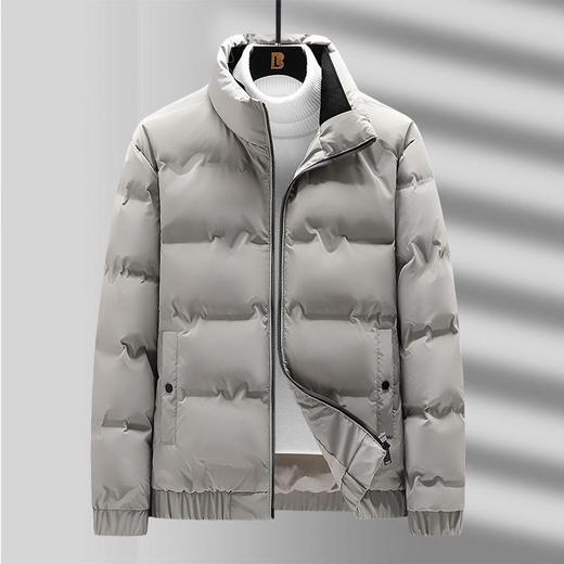 白鸭绒男士羽绒服冬季新款简约百搭立领轻薄保暖休闲上衣外套 商品图0