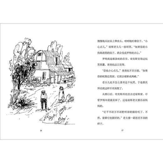 忠犬山姆   4年级正版现货速发|名师推荐|小学生课外阅读四年级 商品图1