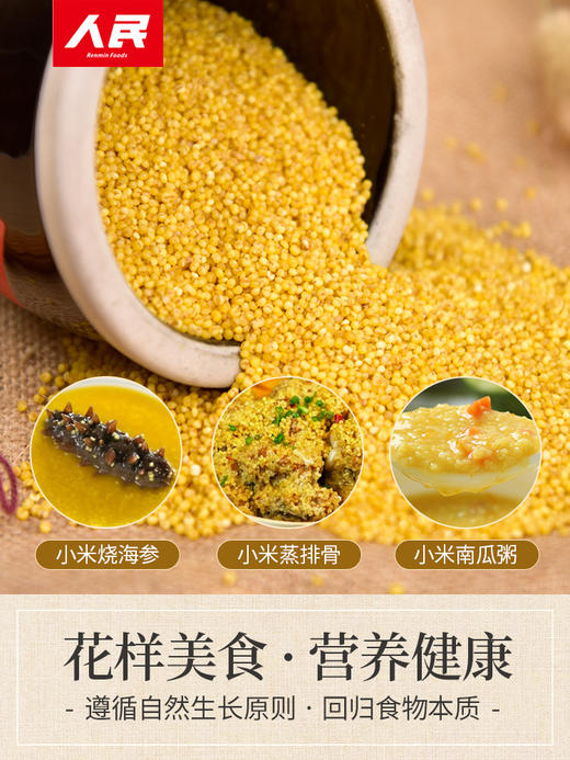 人民食品 米脂油小米880g 商品图4