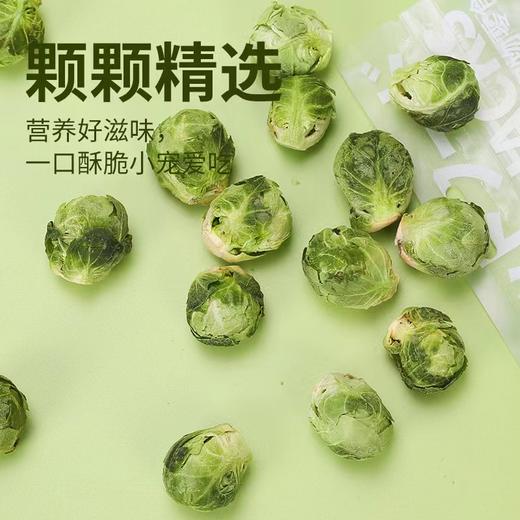 【热销冻干蔬菜】冻干孢子甘蓝蔬菜主食伴侣补充维生素犬猫零食 商品图2
