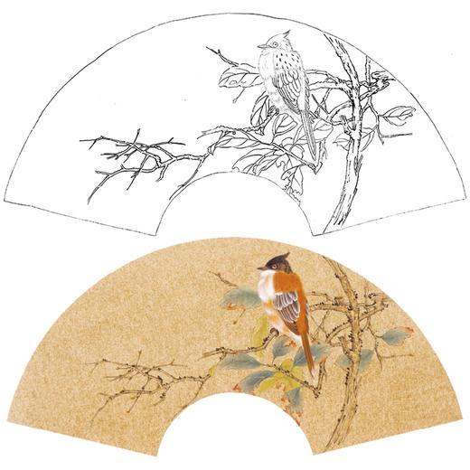 【大彩图】张建军工笔画白描底稿扇面小品临摹勾线花鸟线稿A342 商品图0