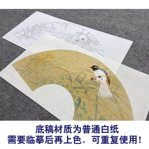 【大彩图】张建军工笔画白描底稿扇面小品临摹勾线花鸟线稿A347 商品图3