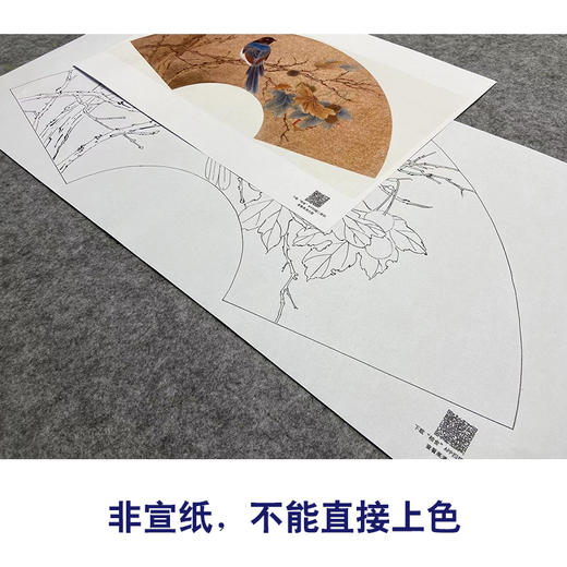 【大彩图】张建军工笔画白描底稿扇面小品绶带鸟临摹勾线花鸟线稿A344 商品图2
