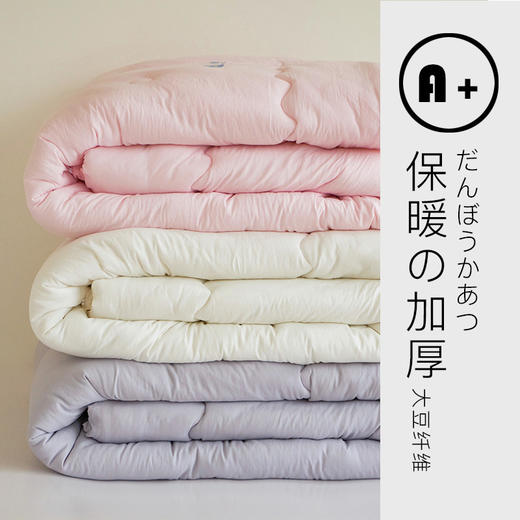 【亲肤大豆被】亲肤大豆被纯色冬被双人被芯秋冬加厚被子 商品图1