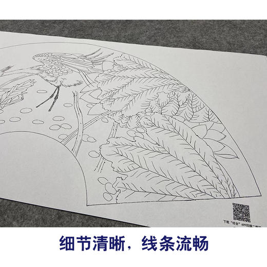 【大彩图】张建军工笔画白描底稿扇面小品《荷花白鹭》临摹勾线花鸟线稿A341 商品图4