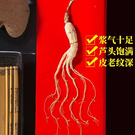 【礼盒装！品质好人参】吉林产地货源长白山人参8-12年林下参年货会销礼品低价林下参伴手礼 商品图1