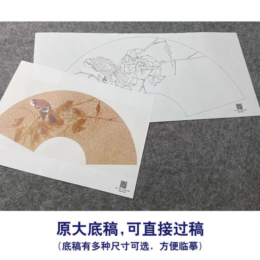 【大彩图】张建军工笔画白描底稿扇面小品临摹勾线花鸟线稿A369 商品图1