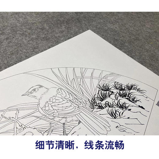 【大彩图】张建军工笔画白描底稿扇面小品临摹勾线花鸟线稿A350 商品图4