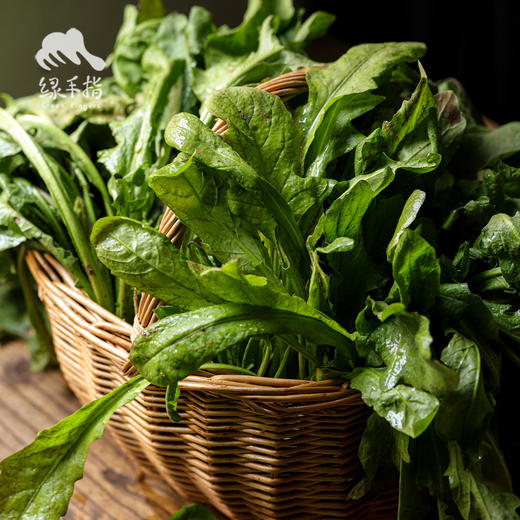 生态荠菜 | 合作生产*Ecological shepherd's purse | Coproduction 商品图3