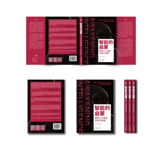 智能的启蒙：通用人工智能与意识机器 朱嘉明作序推荐 探讨机器意识的起源，揭示通用人工智能全貌 商品图2