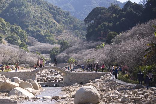 12月26日出发:陆河赏梅正当时·“梅”丽乡村2天摄影<臻享1元> 商品图4