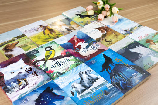 打动孩子心灵的动物经典 愤怒的狐狸海豹历险记黑骏马狼王传小银和我驴子的回忆适用年龄3岁-6岁 商品图0