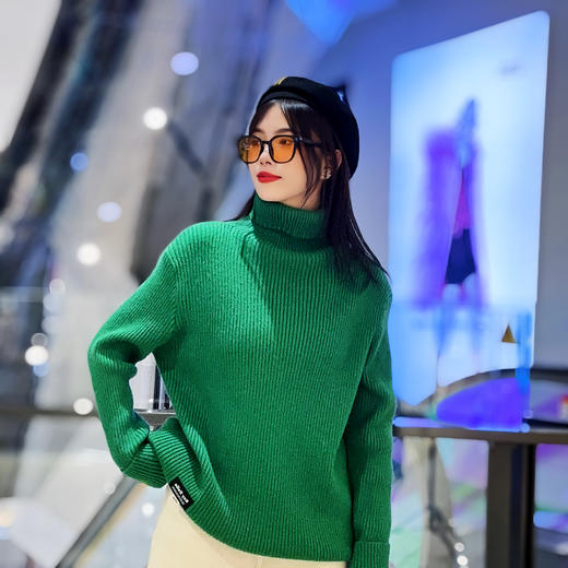110WS高领车标百搭毛织衫31023（紫绿） 冬季 313014032105 商品图0
