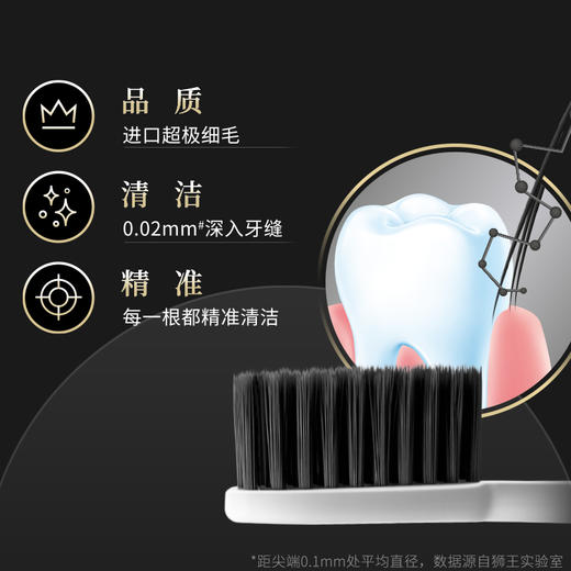 2支套狮王细齿洁炭能量牙刷两支装 黑炭能量 速干抗菌 商品图1