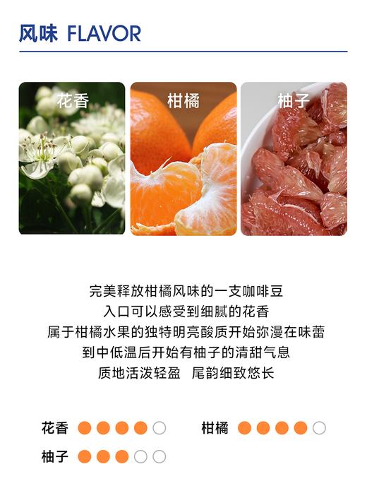 生豆｜卡里布诗庄园｜卡里布诗瑰夏 水洗 商品图1