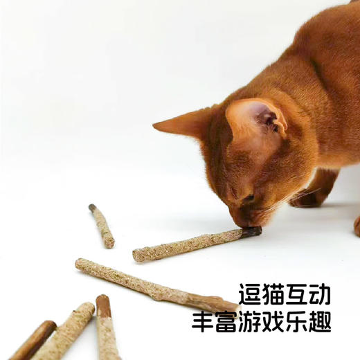 「不趣集」虫瘿果木天蓼玩具你算哪块小饼干-虫瘿果木天蓼磨牙棒 商品图4