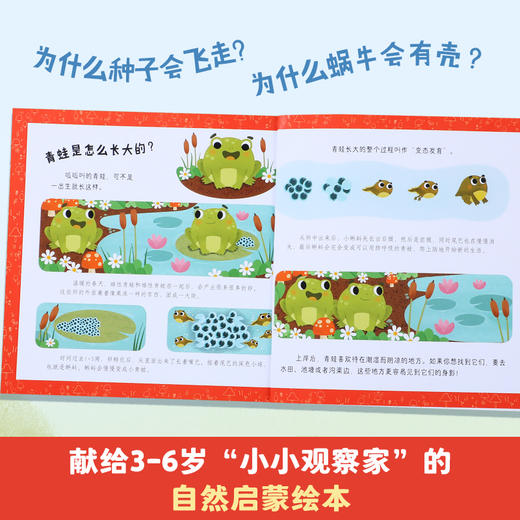 【玩具反斗城】莉莉兰的小虫虫 自然启蒙绘本（10册） 商品图1