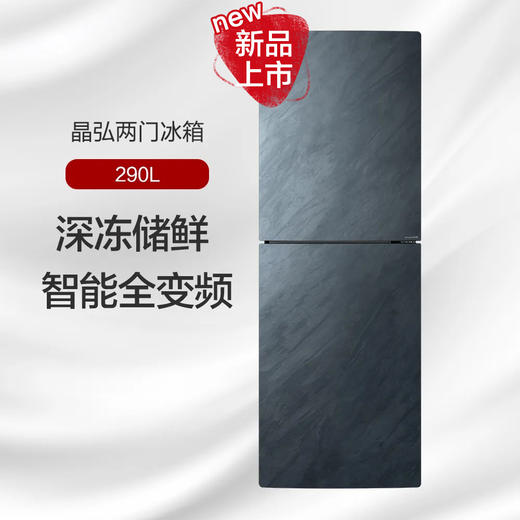 格力晶弘冰箱  -33℃深冻 大冷冻空间 BCD-290WPGA/云岫岩 商品图0
