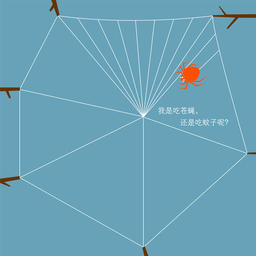  听！蜘蛛在唱歌 数字空间启蒙绘本 商品图2