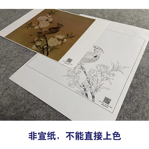 【大彩图】佚名工笔画白描底稿宋画小品《桃花山鸟图》临摹勾线花鸟线稿GH07 商品图2