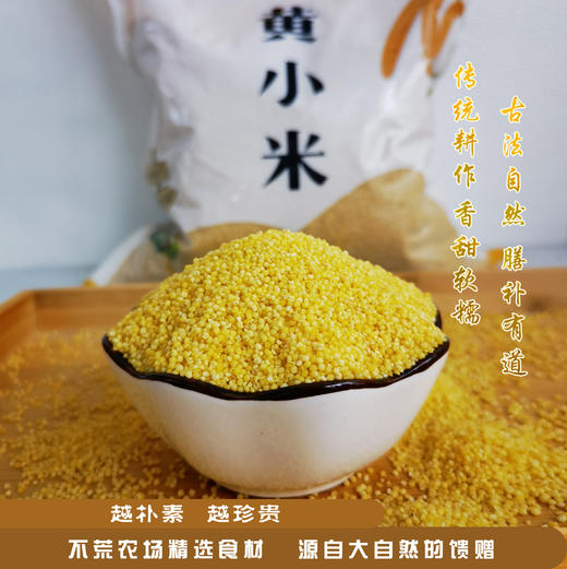 生态黄小米 | 软糯微甜 | 公平贸易 * Ecological Yellow Millet 商品图2