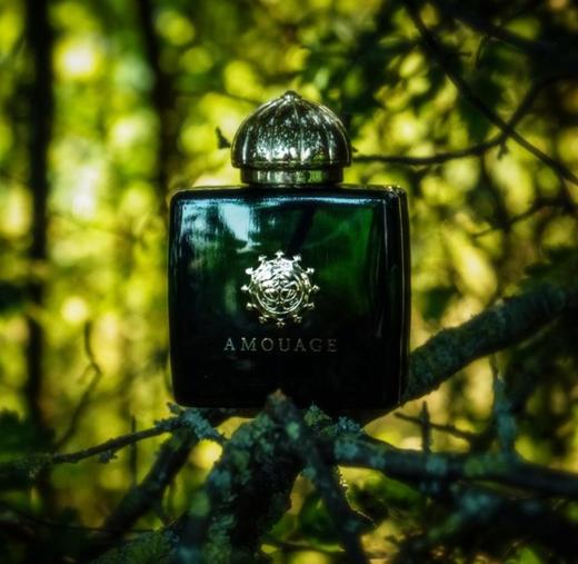 AMOUAGE爱慕史诗女士50ml男士回忆录迪亚黄金镜中倒影正装香水 商品图1