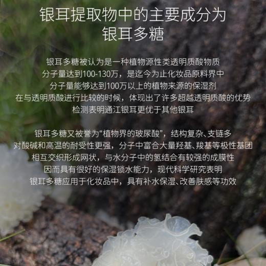 裕德源通江银耳润耳面膜极简白护肤套装 商品图3