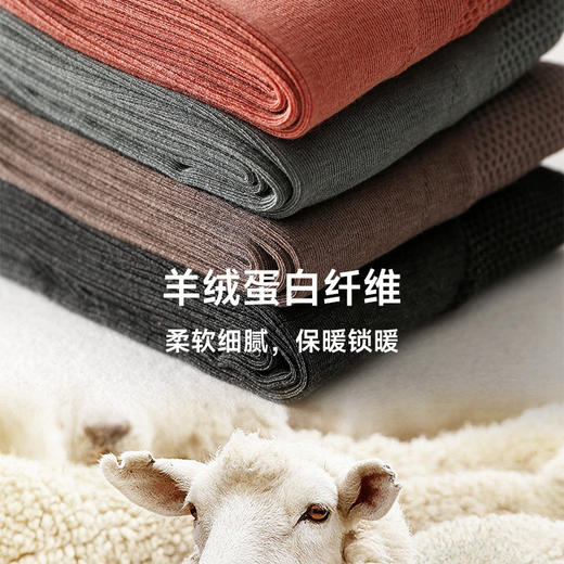 秋冬【高腰羊毛裤秋裤】高腰收腹 保暖裤女款 内穿发热 德绒打底紧身裤 商品图2