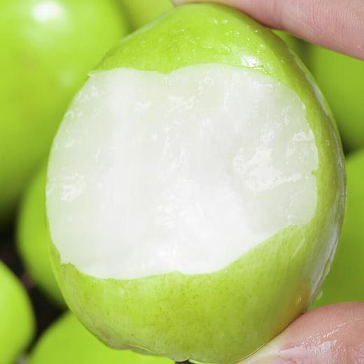 苹果青枣 约500g /KG /KG 商品图1