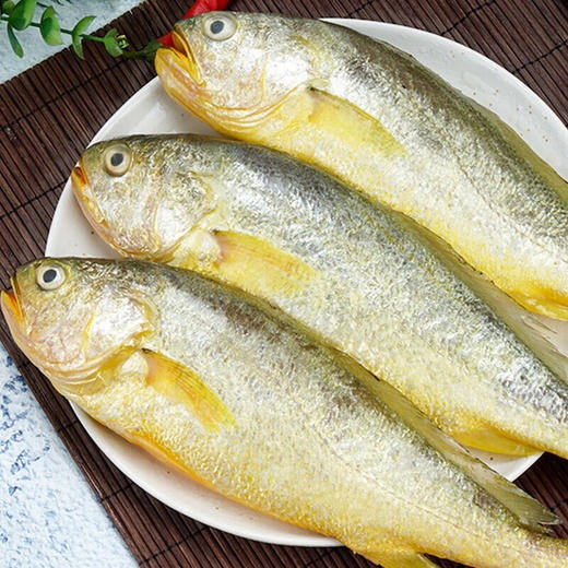 【年货好物！鲜禾鲜黄花鱼礼盒套装】鲜禾鲜东海黄花鱼礼盒 东海黄花鱼礼盒 -52伴手礼 商品图1