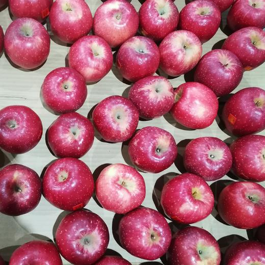 瑞香红苹果A级（8-12枚） 商品图7
