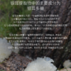 裕德源通江银耳润耳面膜金典黑护肤套装 商品缩略图4