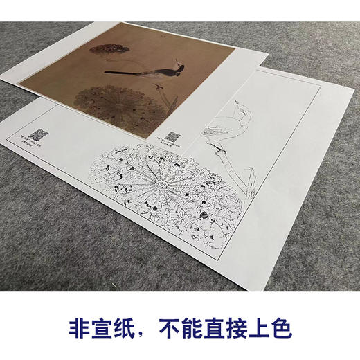 【大彩图】马兴祖工笔画白描底稿宋画小品《疏荷沙鸟图》荷花临摹勾线花鸟线稿GH23 商品图2