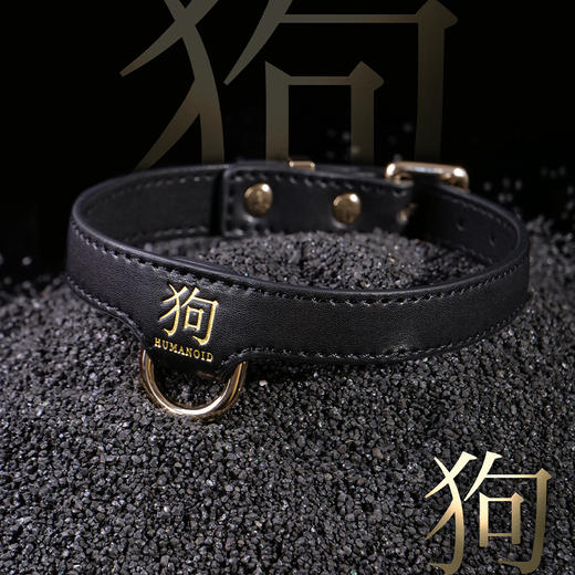 人形狗狗宠物牵引项圈 商品图6