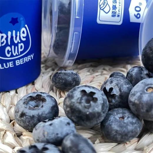 蓝莓杯 商品图1
