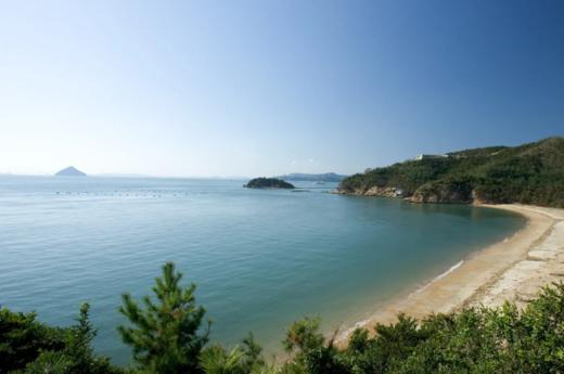 新大阪站出发 大阪直岛一日游【需二次确认】B-0011 商品图5