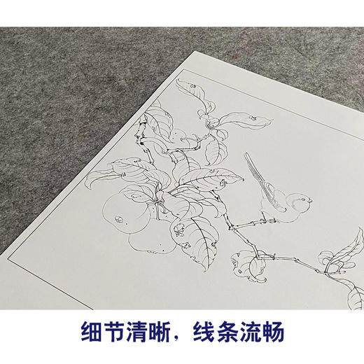 【大彩图】林椿工笔画白描底稿宋画小品《果熟来禽图》桃枝临摹勾线花鸟线稿GH08 商品图4