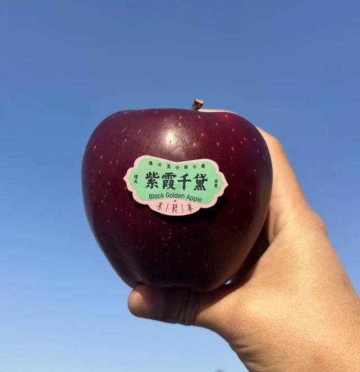 木艮本 紫霞千黛苹果 |水果 商品图4