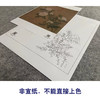 【大彩图】马远工笔画白描底稿宋画小品《白蔷薇图》临摹勾线花鸟线稿GH22 商品缩略图2